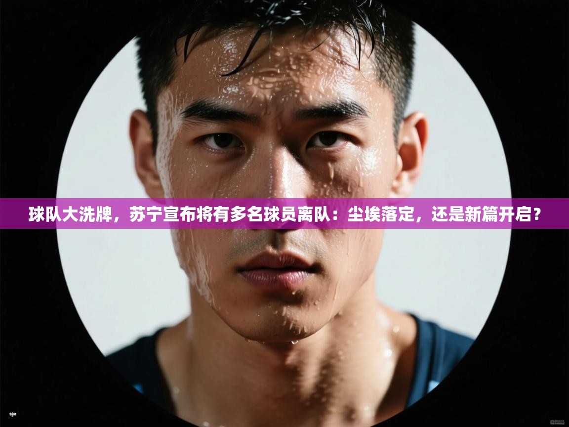 球队大洗牌,苏宁宣布将有多名球员离队:尘埃落定,还是新篇开启? 第2张