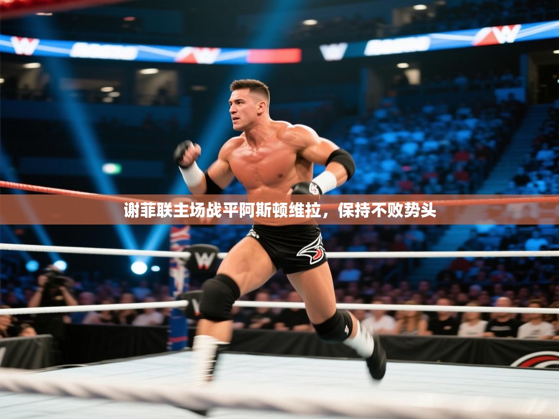谢菲联主场战平阿斯顿维拉，保持不败势头  第1张