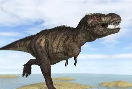 暴龙遭遇连胜，登基东部领导霸气蓄势