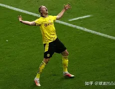 开云体育-南特前锋赫兰德获得法乙最佳射手，期待首秀表现的简单介绍